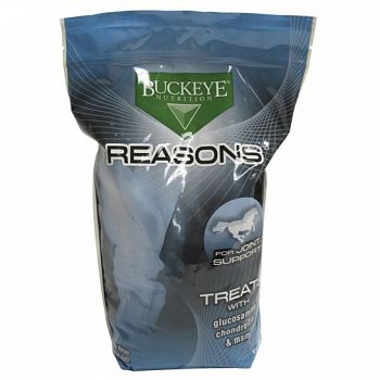 Reasons Joint Equine MSM Treat - 4 lbs