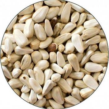 Safflower Seed - 50 lbs