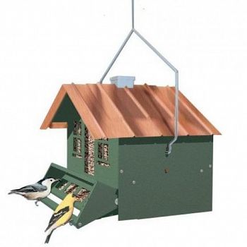 Squirrel Be Gone Feeder / Green 12 lbs