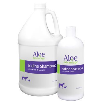 Aloe Advantage Iodine Equine and Dog Shampoo