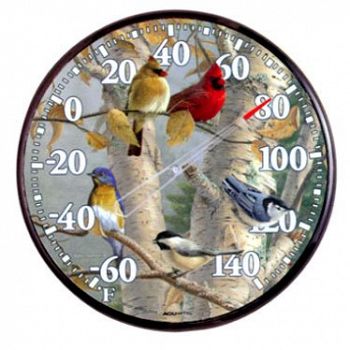 Songbird Indoor Outdoor Thermometer - 12.5 in.