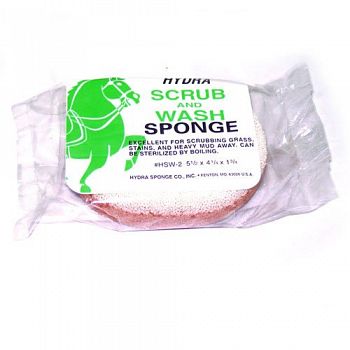 Hydra Scrub and Wash Sponge - Medium