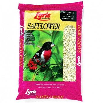 Lyric Safflower Seed for Wild Birds  (Case of 8)