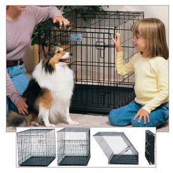 Life Stages Portable Dog Crate