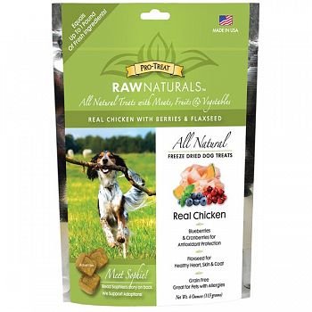 Raw Naturals Real Chicken Treat for Dogs - 4 oz.
