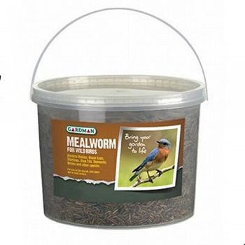 Mealworm Tub for Wild Birds - 28 oz