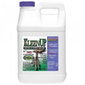 Kleenup 41% Conc. 2.5 gallon