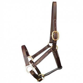 Equine Halter Stable