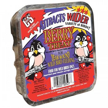 Berry Suet Treat for Wild Birds - 11.75 oz.