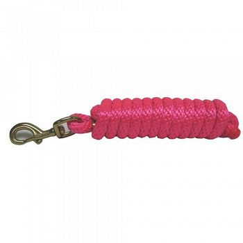 Dog Leash with Bolt Snap - 10 ft / Hot Pink