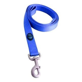 Nylon Dog Lead With Snap - 6 ft x 1 in / Blue