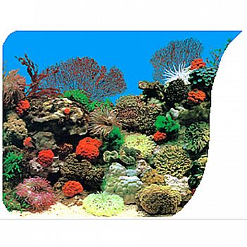 Coral Anenome & Freshwater Planted Background - 50 FT X 20 IN