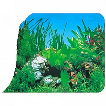 Coral Anenome & Freshwater Planted Background - 50 FT X 24 IN