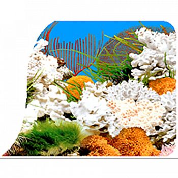 Planted Tank & Orange Corals Background - 50 FT X 24 IN