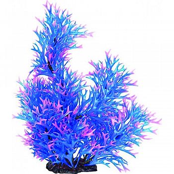 Staghorn Aquarium Plant BLUE/PINK 20 INCH