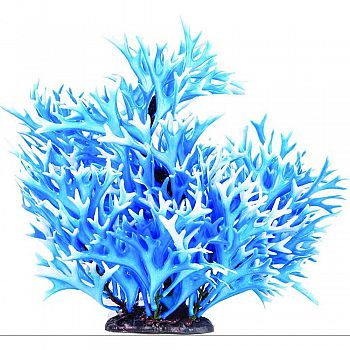 Staghorn Aquarium Plant BLUE/WHITE 10 INCH