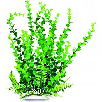 Elodea Aquarium Plant With Weighted Base GREEN 6 INCH