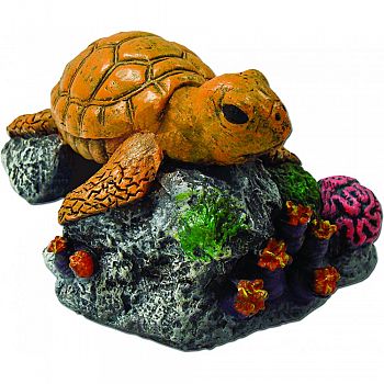 Exotic Environments Sea Turtle  
