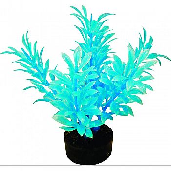 Colorburst Florals Exotic Mini Plant NEON BLUE 