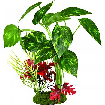 Colorburst Florals Pothos Variegated Leaf Cluster GREEN/RED/YLLW 