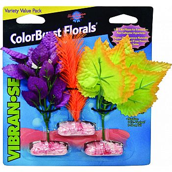 Colorburst Florals South American Fern Cluster ASSORTED 3 PACK