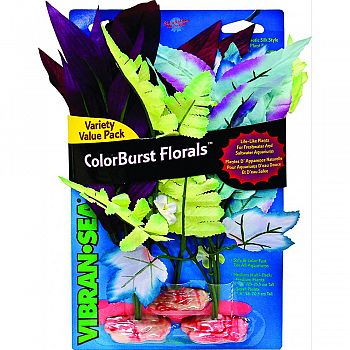 Colorburst Florals African Fountain Fern Cluster ASSORTED 3 PACK