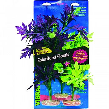 Colorburst Florals Amazon Broad Leaf Cluster ASSORTED 3 PACK