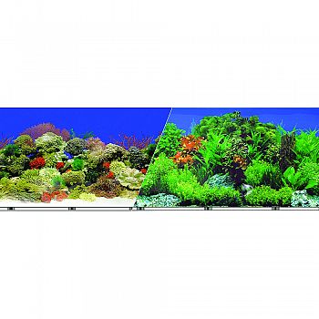 Double-sided Garden/carribbean Coral Background  19 INCH