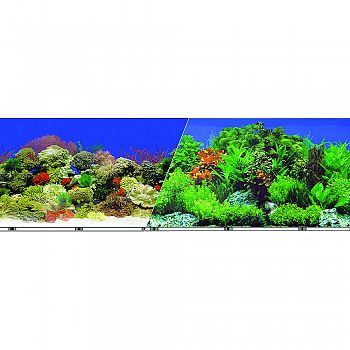 Double-sided Garden/carribbean Coral Background  24 INCH