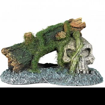 Exotic Environments Skull With Moss  