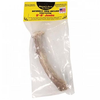 Naturally Shed Antler
