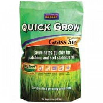 Quick Grow Grass Seed