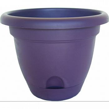 Lucca Planter EXOTICA 12 INCH (Case of 6)