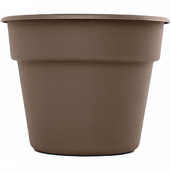 Bloem Dura Cotta Hanging Basket CURATED 12 INCH (Case of 12)