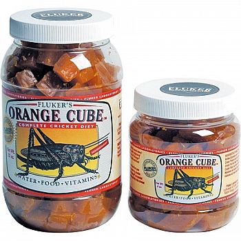 Orange Cube Cricket Diet