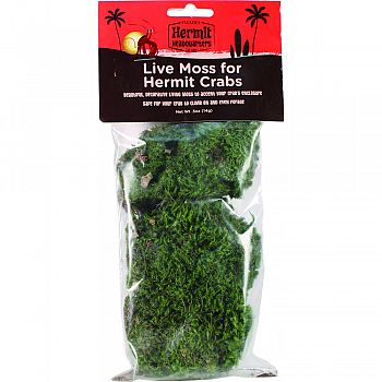 Hermit Crab Live Moss