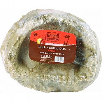 Hermit Crab Rock Feeding Dish
