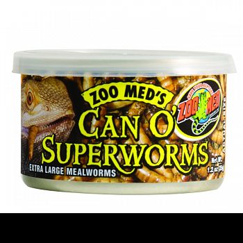 Can O  Superworms Extra Large Mealworms  1.2 OUNCE