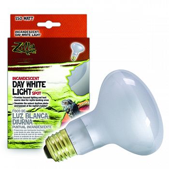 Day White Light Incandescent Spot Bulb  150 WATT