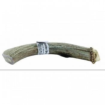Solid Antler Dog Chew