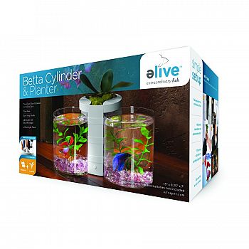 Betta Cylinder And Planter - white/0.5 gallon