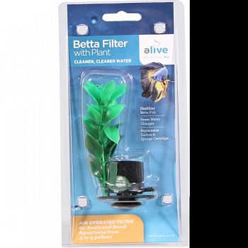 Betta Filter With Natural Plant  SMALL