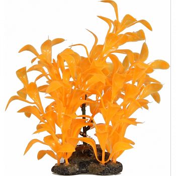 Glow Elements Ludwigia Plant NEON TANGERINE 5 INCH/MEDIUM