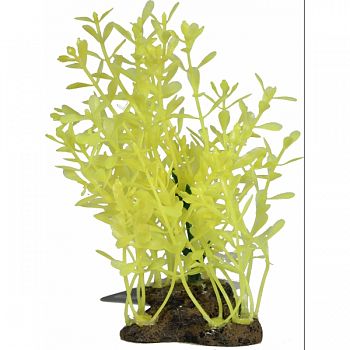 Glow Elements Lindernia Plant NEON GREEN 5 INCH/MEDIUM