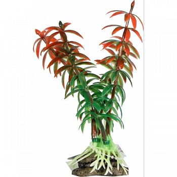 Natural Elements Rotala Plant RED 4 INCH/SMALL