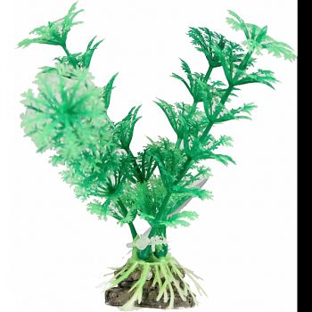 Natural Elements Cabomba Plant GREEN 4 INCH