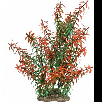 Natural Elements Rotala Plant RED 9 INCH/LARGE