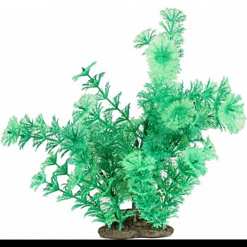 Natural Elements Cabomba Plant GREEN 9 INCH/LARGE