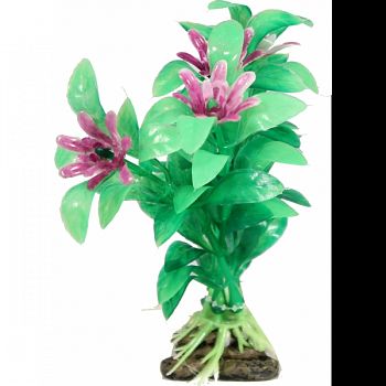 Natural Elements Blooming Ludwigia Plant GREEN 4 INCH/SMALL