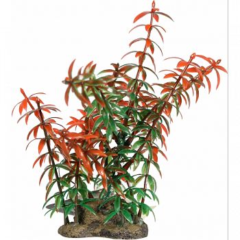 Natural Elements Rotala Plant RED 5 INCH/MEDIUM